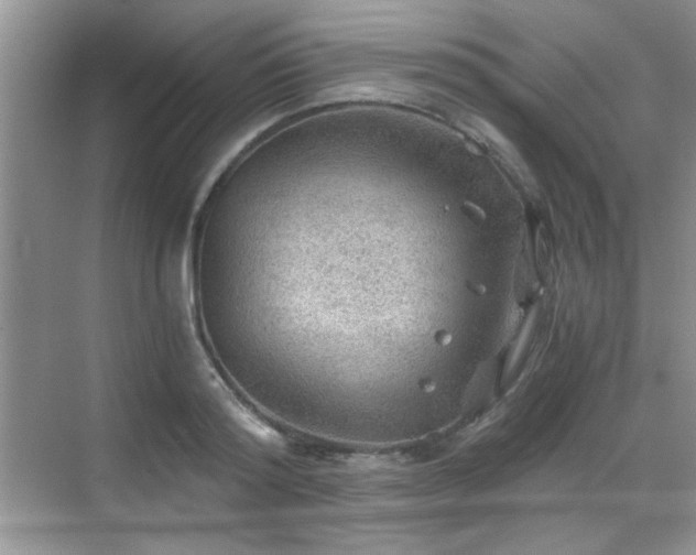 X0000068830796200605081212