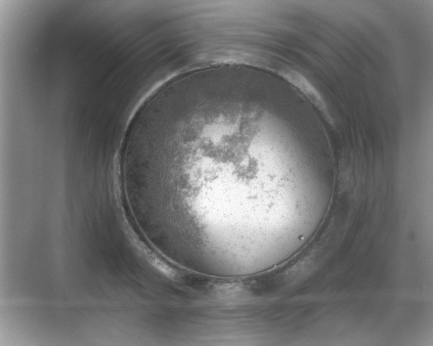 X0000068830798200605081212