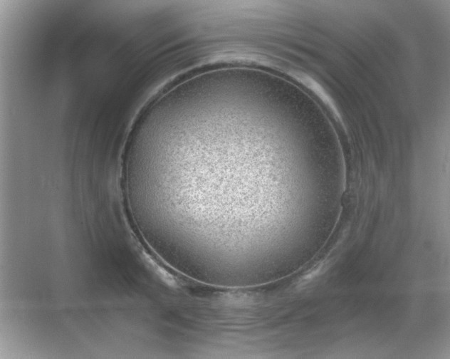 X0000068830799200605081212