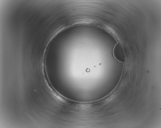 X0000068830802200605081212