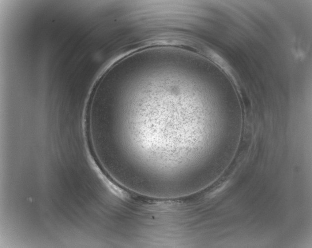 X0000068830803200605081212