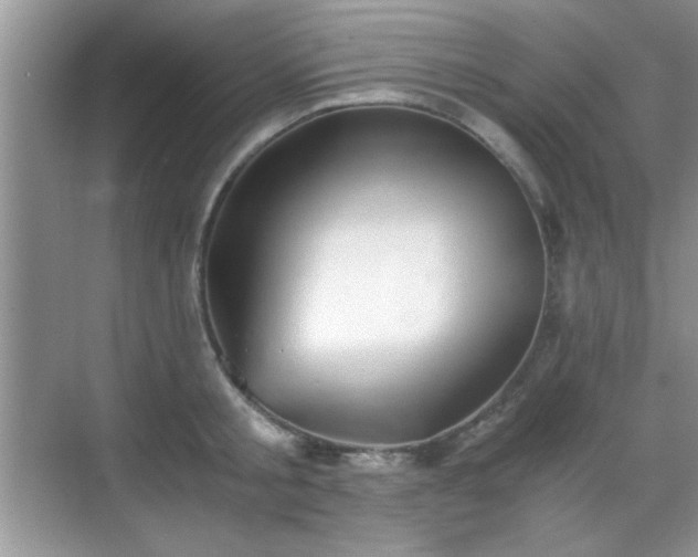 X0000068830805200605081212