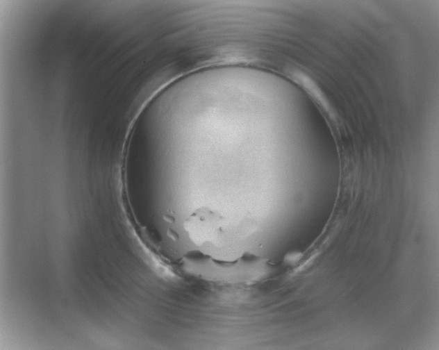 X0000068830810200605081212