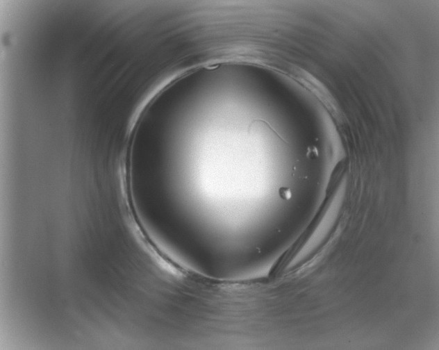 X0000068830812200605081212