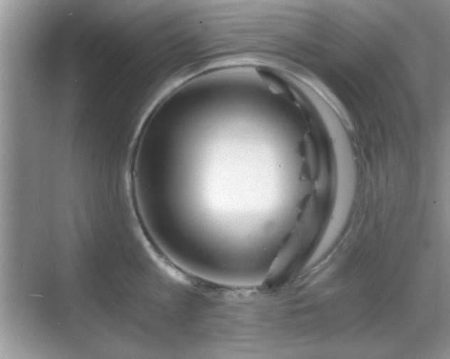 X0000068830813200605081212