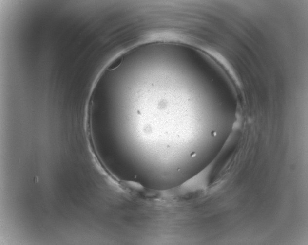 X0000068830815200605081211