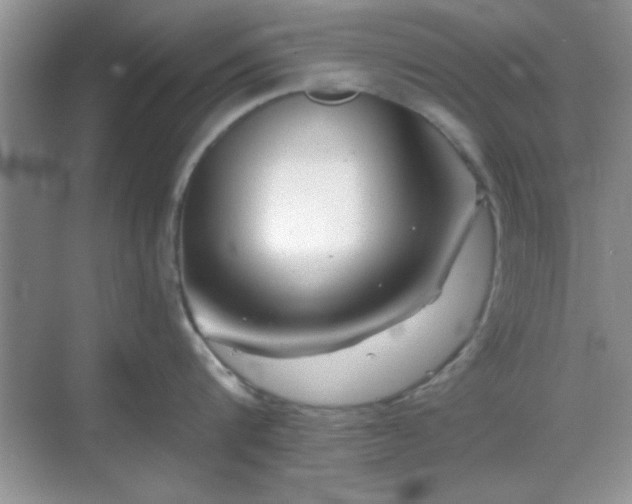 X0000068830816200605081211