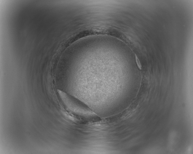 X0000068830817200605081211