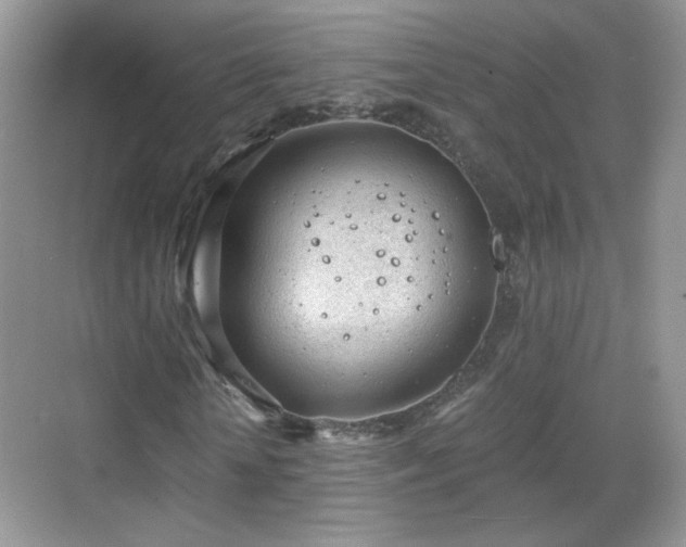 X0000068830818200605081211