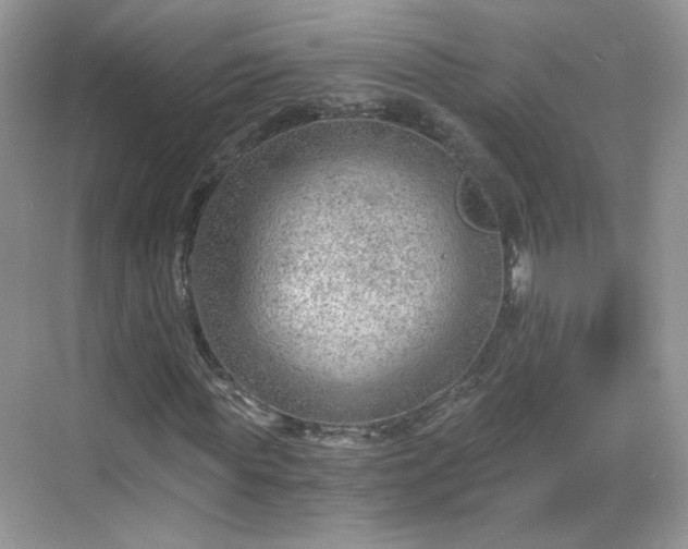 X0000068830819200605081211