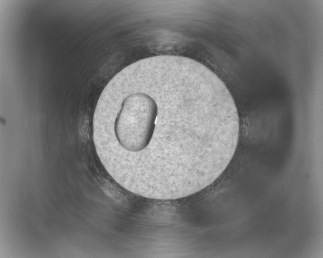 X0000068830820200605081211