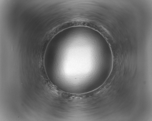 X0000068830821200605081211