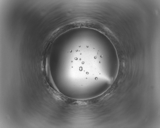 X0000068830822200605081211