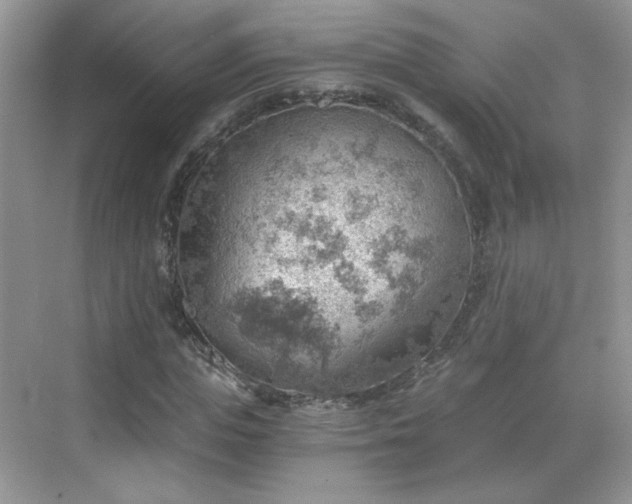 X0000068830823200605081211