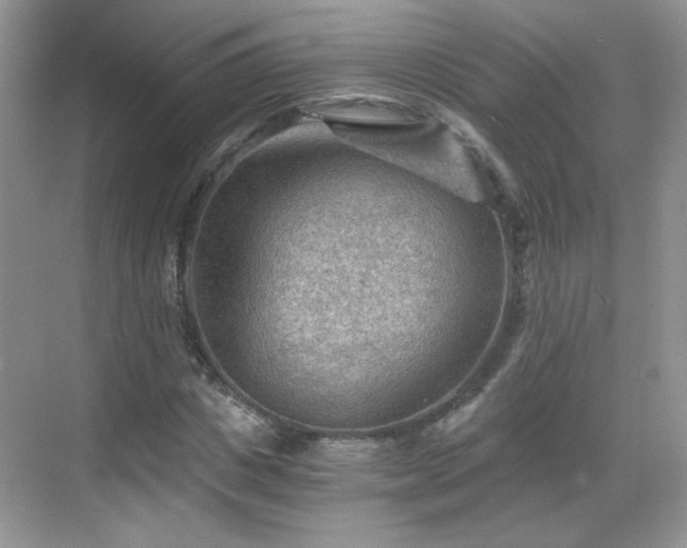 X0000068830825200605081211