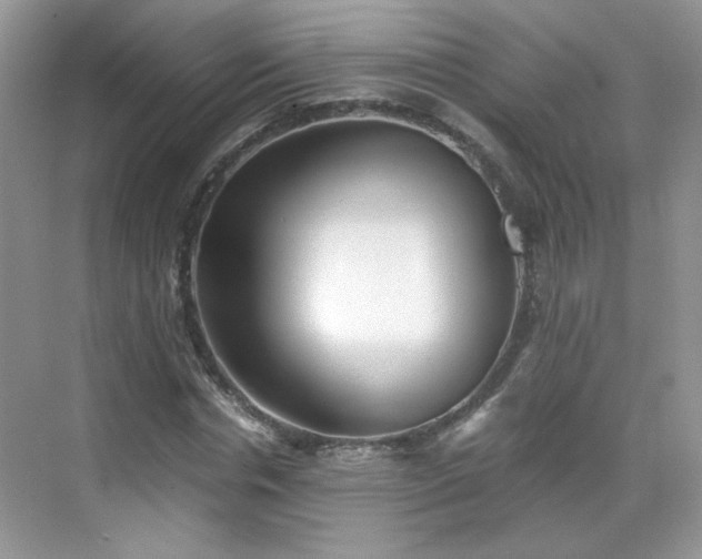 X0000068830826200605081211