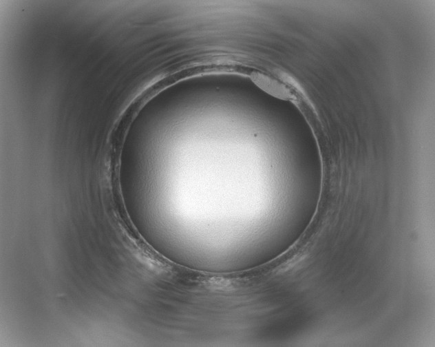 X0000068830827200605081211