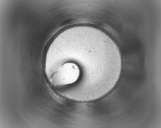 X0000068830828200605081211