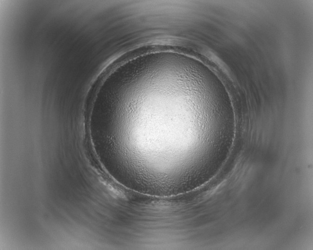 X0000068830829200605081211