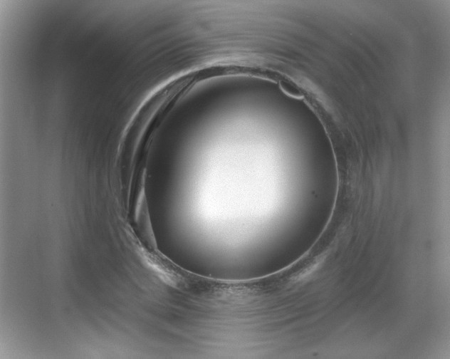 X0000068830830200605081211