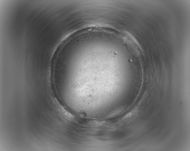 X0000068830831200605081211