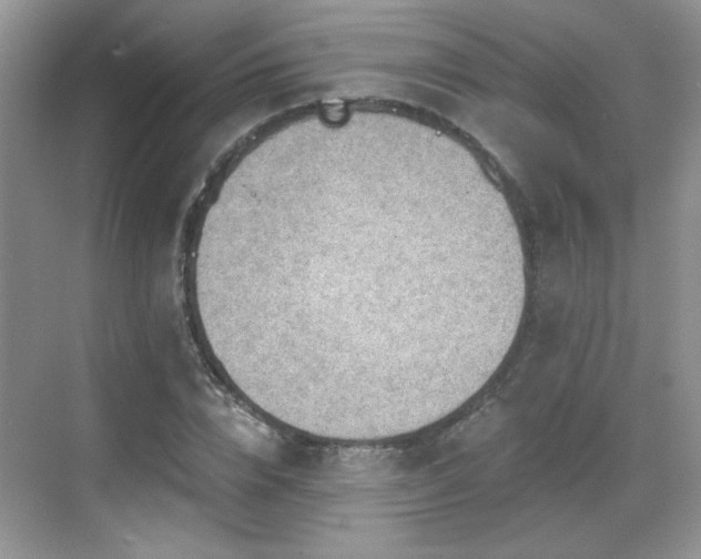 X0000068830832200605081211