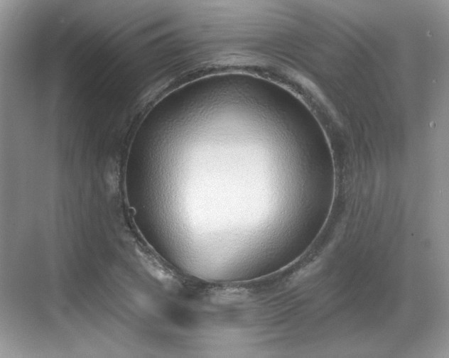 X0000068830833200605081211