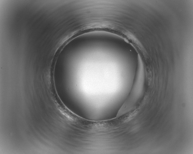 X0000068830834200605081211