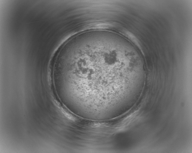 X0000068830835200605081211