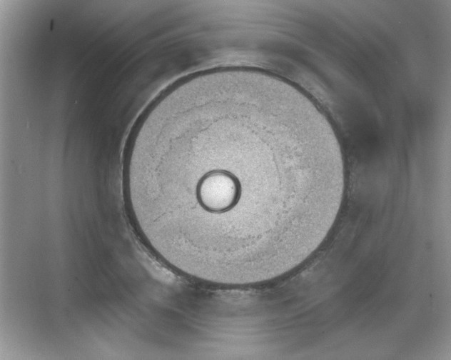 X0000068830836200605081211