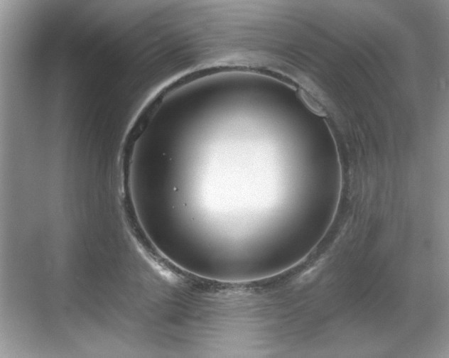 X0000068830838200605081211