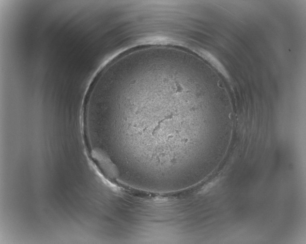 X0000068830839200605081211