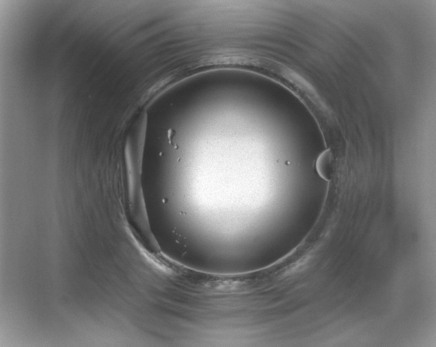 X0000068830841200605081211