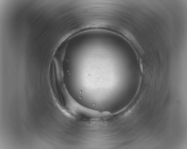 X0000068830842200605081211