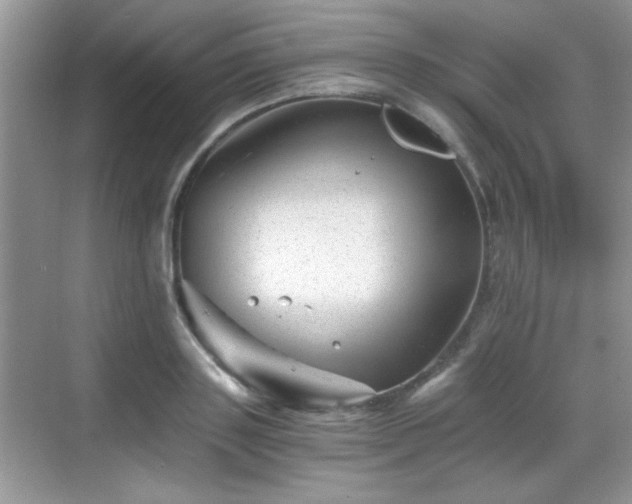 X0000068830843200605081211