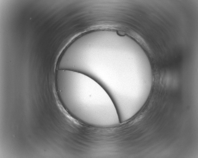 X0000068830844200605081211