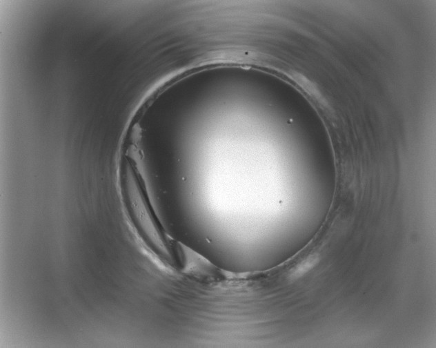 X0000068830846200605081211