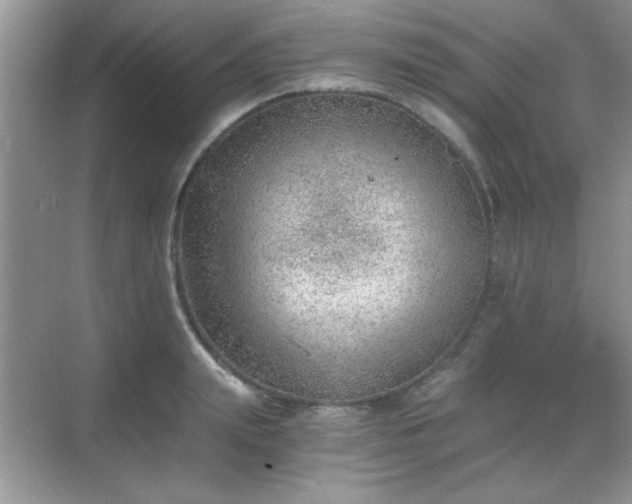 X0000068830847200605081211