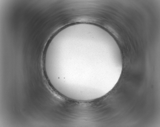 X0000068830848200605081211