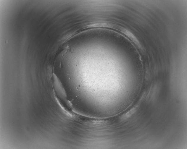 X0000068830849200605081211