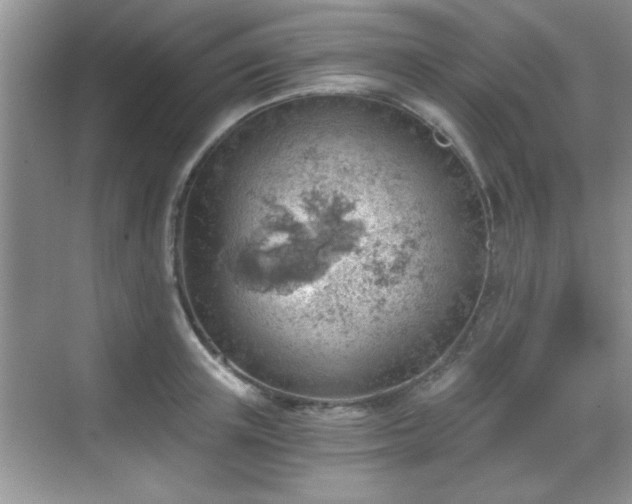 X0000068830851200605081211