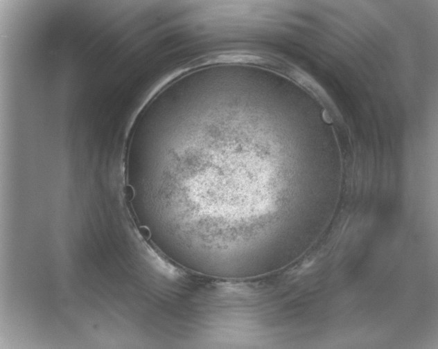 X0000068830852200605081211