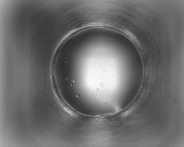 X0000068830854200605081211