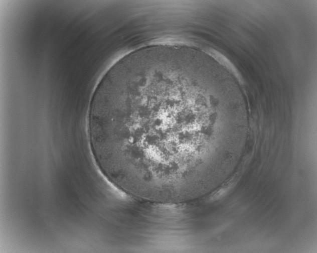 X0000068830855200605081211