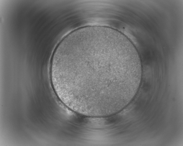 X0000068830856200605081211