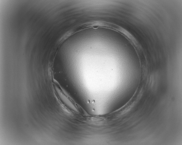 X0000068830857200605081211