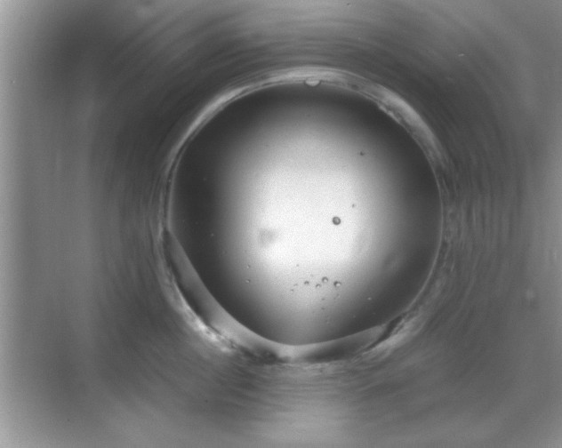 X0000068830860200605081211