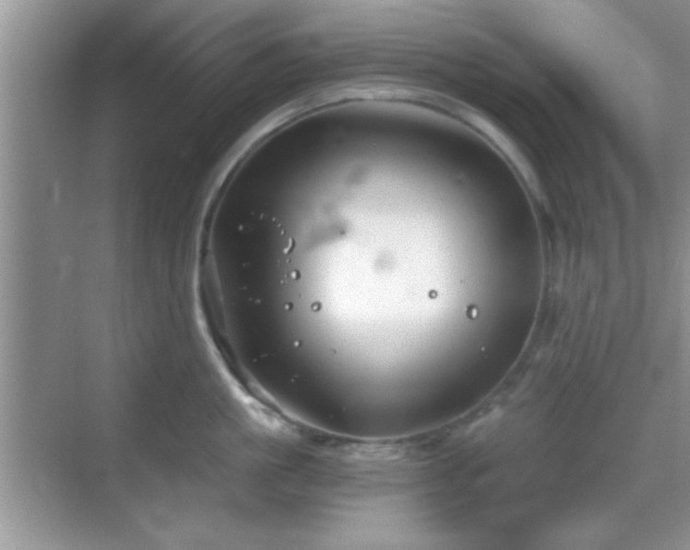 X0000068830861200605081211