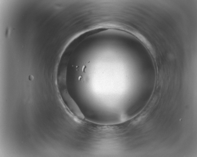 X0000068830862200605081211