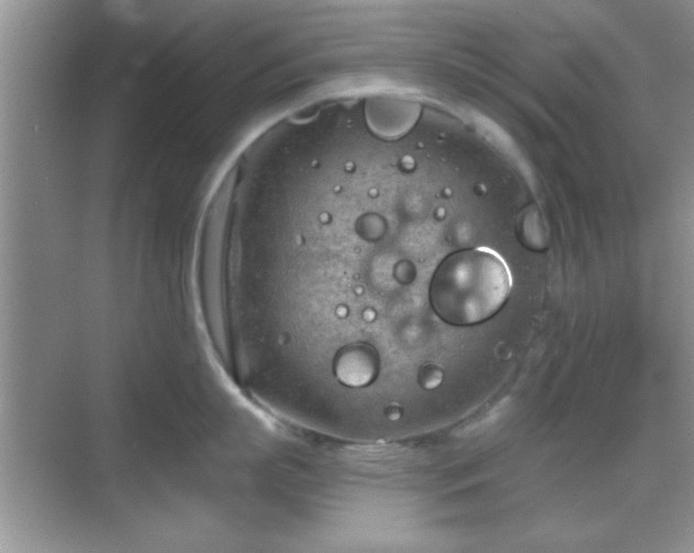 X0000068830863200605081211